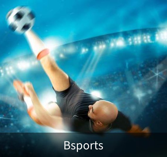 Bsports概况
